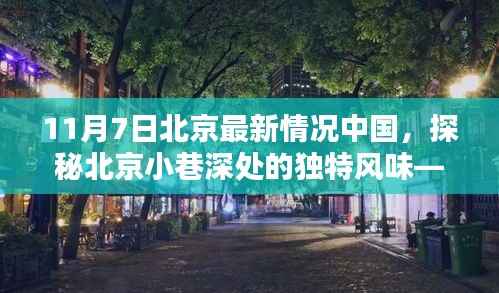 走马观花 第5页