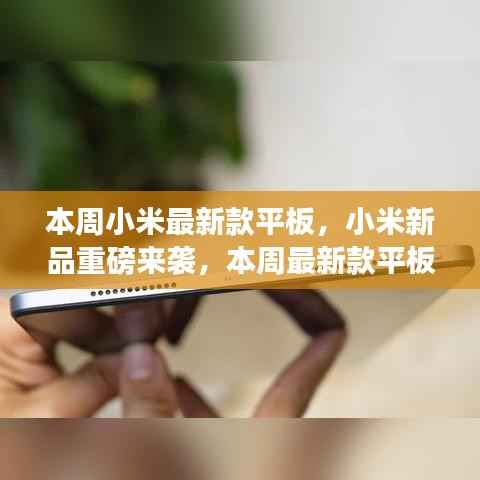 云烟 第6页