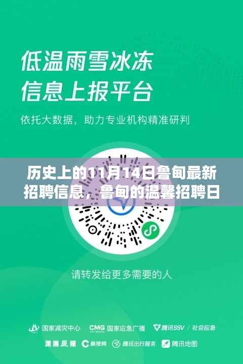 11月14日鲁甸招聘日,温馨重逢与奇遇时刻