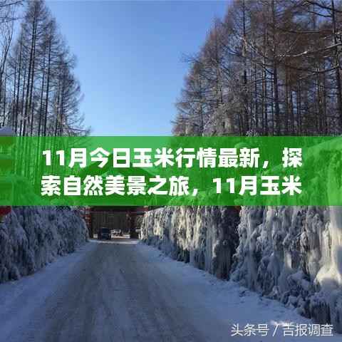 九死一生 第4页