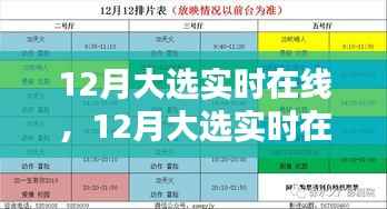 12月大选实时在线，全面评测与详细介绍