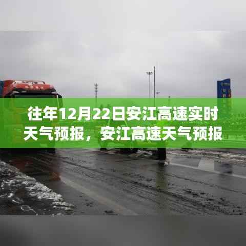 物离乡贵