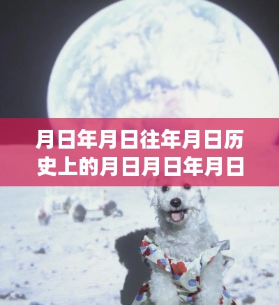 小狗记录仪，记录时空轨迹，见证成长历程，历史与现实的连结