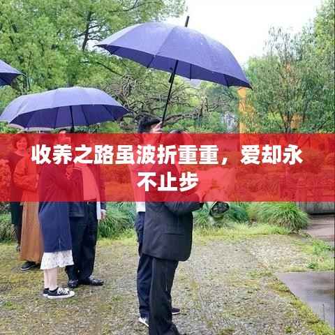 收养之路虽波折重重,爱却永不止步