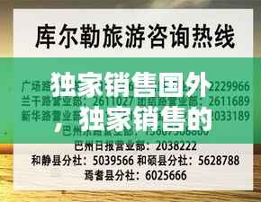 独家销售国外,独家销售的产品