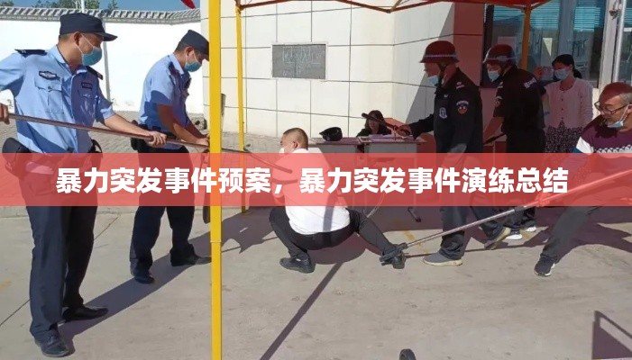 暴力突发事件预案,暴力突发事件演练总结