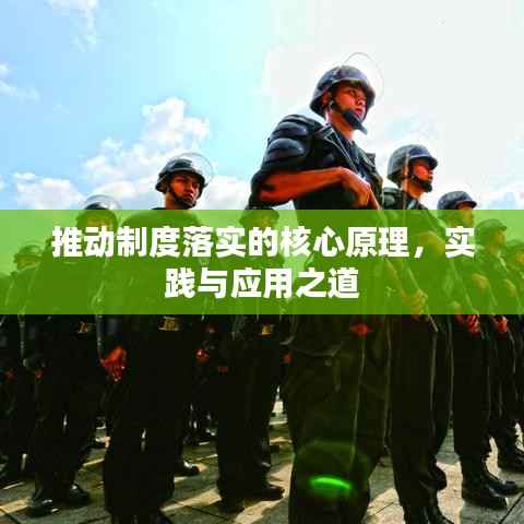 营销网络 第182页