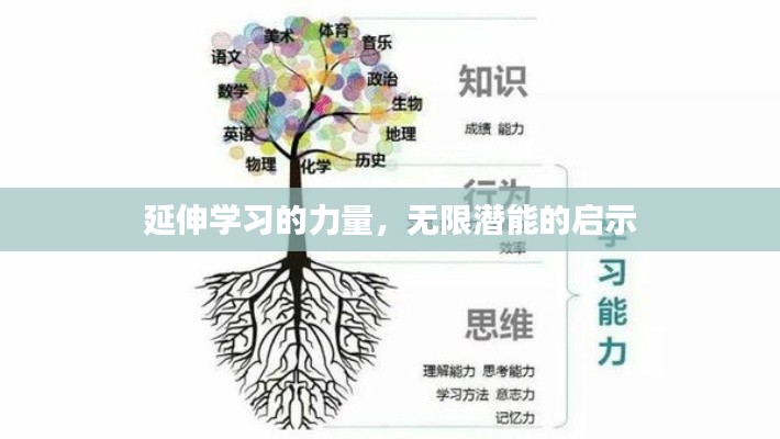 延伸学习的力量,无限潜能的启示