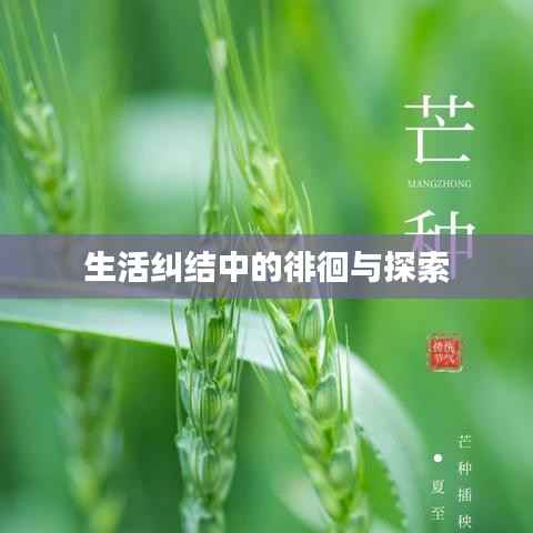 营销网络 第174页