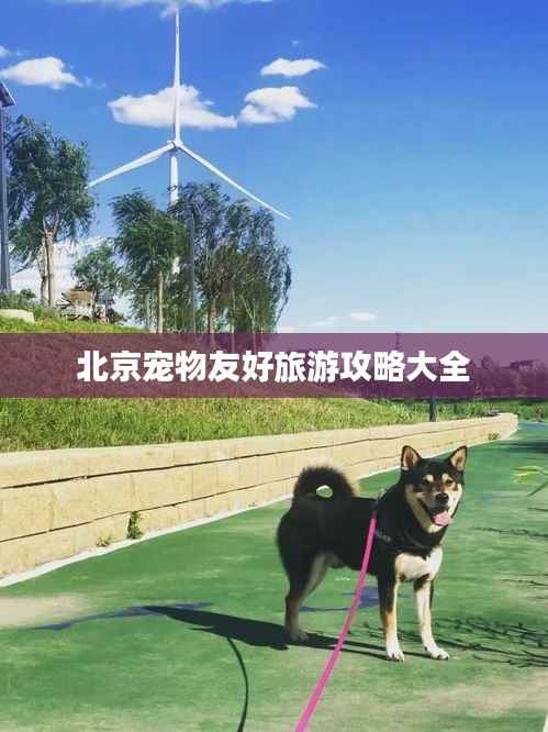 北京宠物友好旅游攻略大全