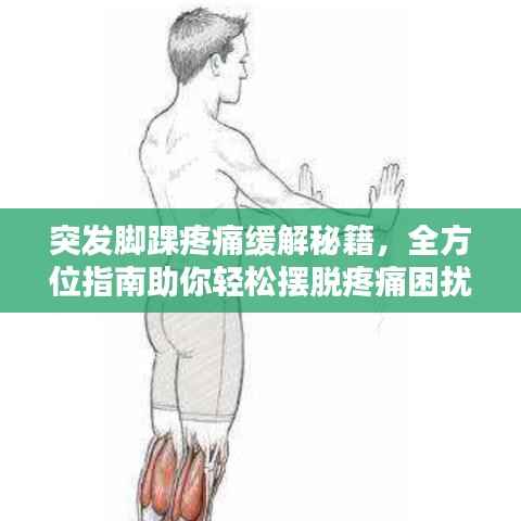 突发脚踝疼痛缓解秘籍,全方位指南助你轻松摆脱疼痛困扰!
