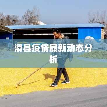 滑县疫情最新动态分析