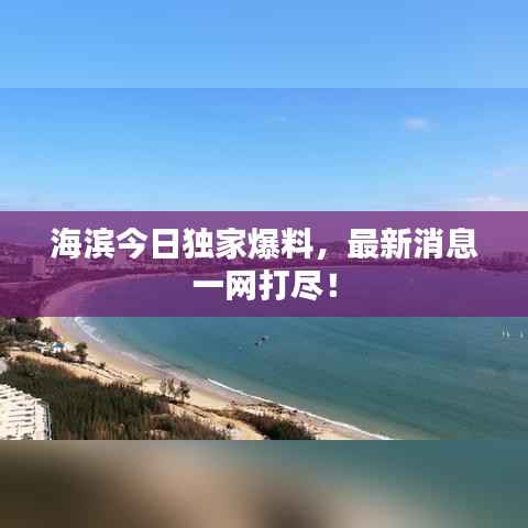 海滨今日独家爆料,最新消息一网打尽!