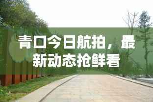 青口今日航拍，最新动态抢鲜看
