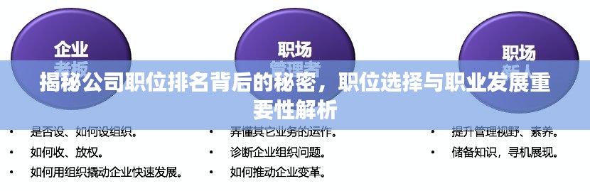 揭秘公司职位排名背后的秘密,职位选择与职业发展重要性解析