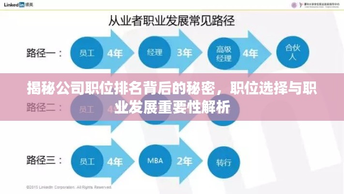 揭秘公司职位排名背后的秘密,职位选择与职业发展重要性解析