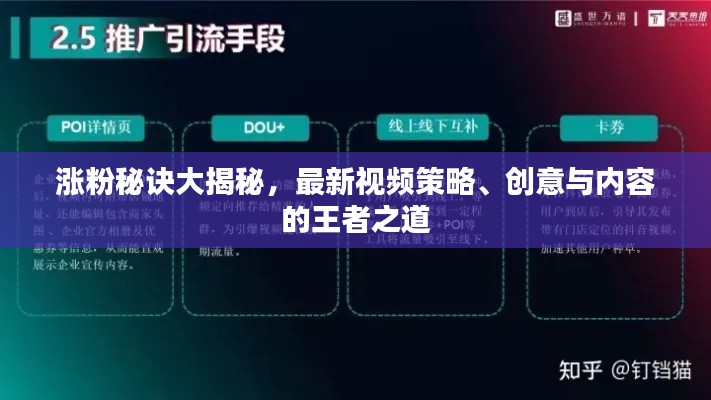 涨粉秘诀大揭秘,最新视频策略、创意与内容的王者之道