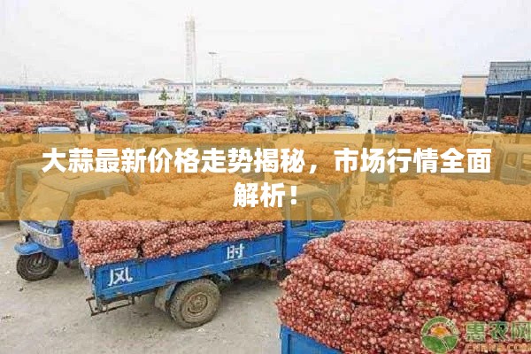 容光焕发