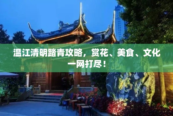 营销网络 第130页