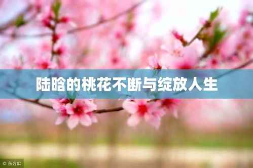 小有成就