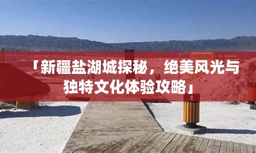 营销网络 第118页