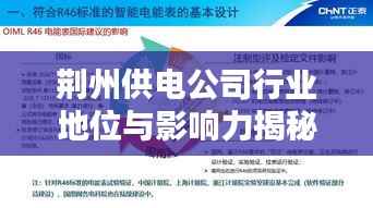 营销网络 第115页