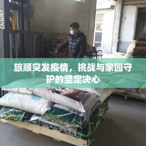 旅顺突发疫情,挑战与家园守护的坚定决心
