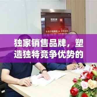 独家销售品牌,塑造独特竞争优势的核心驱动力