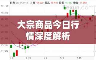 达官贵人 第2页