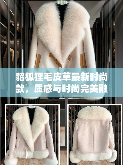 貂狐狸毛皮草最新时尚款,质感与时尚完美融合