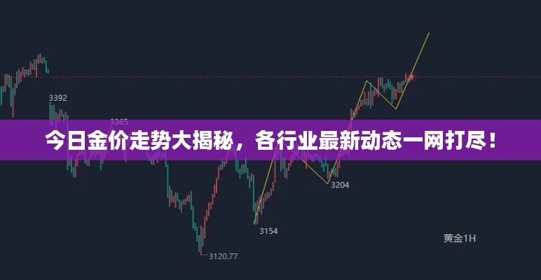 今日金价走势大揭秘，各行业最新动态一网打尽！
