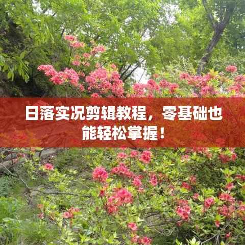 日落实况剪辑教程,零基础也能轻松掌握!