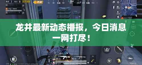 龙井最新动态播报,今日消息一网打尽!